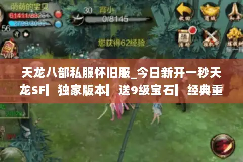 天龙八部私服怀旧服_今日新开一秒天龙SF▎独家版本▎送9级宝石▎经典重现◁