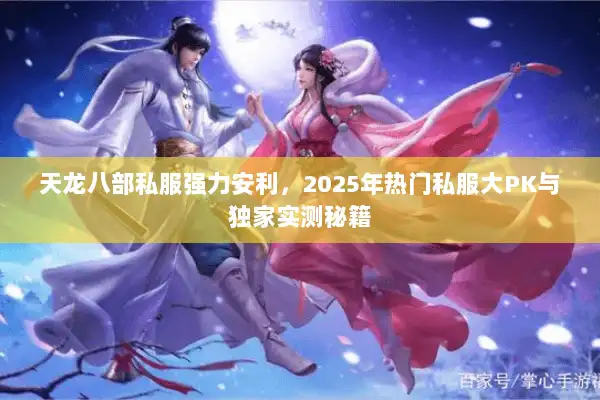 天龙八部私服强力安利，2025年热门私服大PK与独家实测秘籍