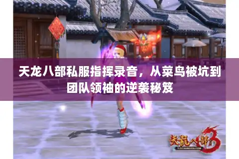 天龙八部私服指挥录音，从菜鸟被坑到团队领袖的逆袭秘笈
