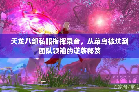 天龙八部私服指挥录音，从菜鸟被坑到团队领袖的逆袭秘笈