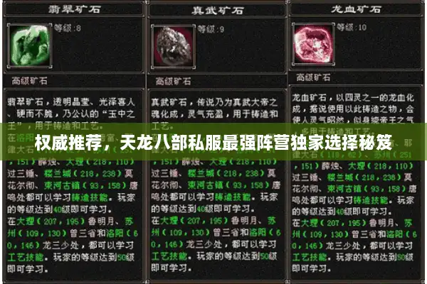 权威推荐，天龙八部私服最强阵营独家选择秘笈