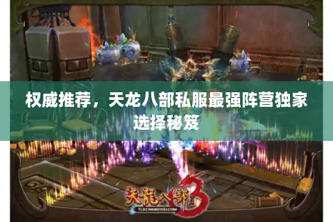 权威推荐，天龙八部私服最强阵营独家选择秘笈