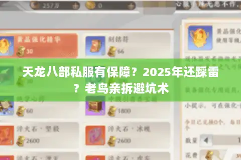 天龙八部私服有保障?2025年还踩雷?老鸟亲拆避坑术 天龙八部私服有保障?2025年还踩雷?老鸟亲拆避坑术