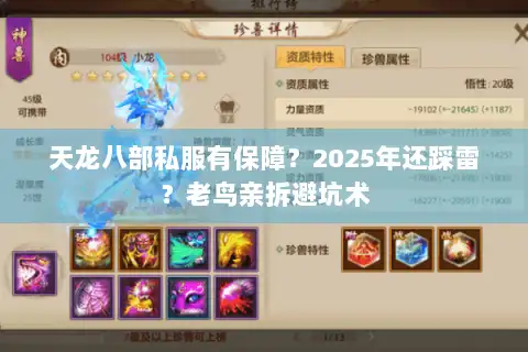 天龙八部私服有保障?2025年还踩雷?老鸟亲拆避坑术 天龙八部私服有保障?2025年还踩雷?老鸟亲拆避坑术