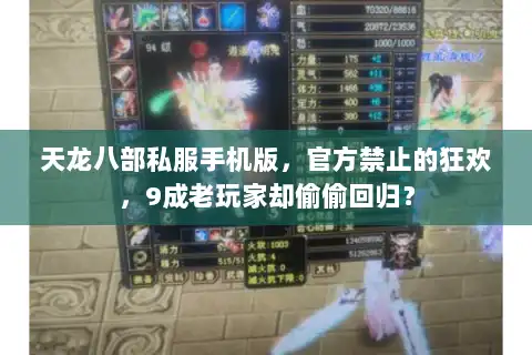 天龙八部私服手机版,官方禁止的狂欢,9成老玩家却偷偷回归? 天龙八部私服手机版,官方禁止的狂欢,9成老玩家却偷偷回归?