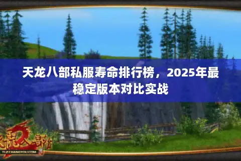 天龙八部私服寿命排行榜，2025年最稳定版本对比实战