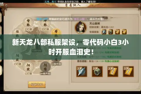 新天龙八部私服架设，零代码小白3小时开服血泪史！