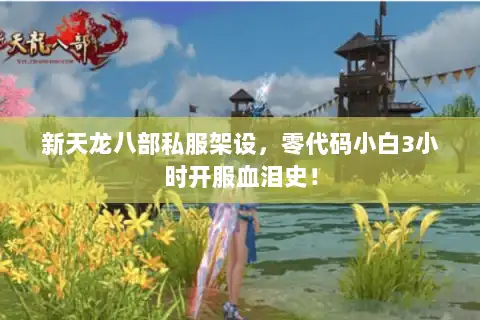 新天龙八部私服架设，零代码小白3小时开服血泪史！