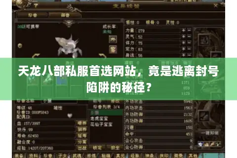 天龙八部私服首选网站，竟是逃离封号陷阱的秘径？