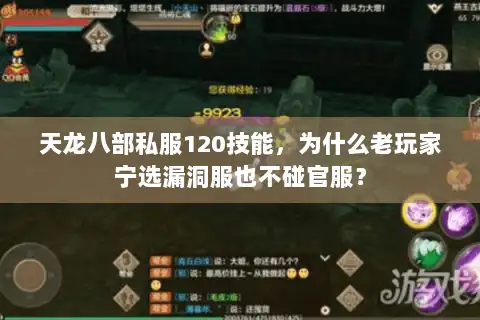 天龙八部私服120技能，为什么老玩家宁选漏洞服也不碰官服？