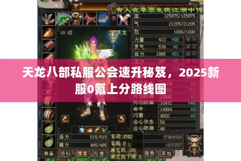 天龙八部私服公会速升秘笈，2025新服0氪上分路线图