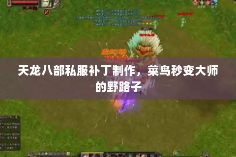 天龙八部私服补丁制作，菜鸟秒变大师的野路子
