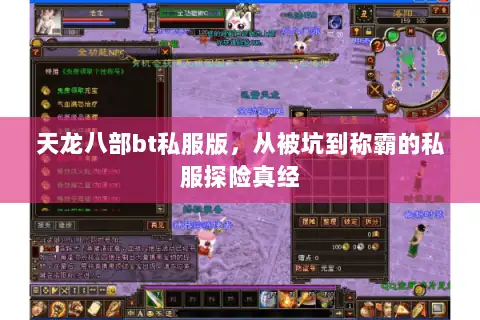 天龙八部bt私服版,从被坑到称霸的私服探险真经 天龙八部bt私服版,从被坑到称霸的私服探险真经