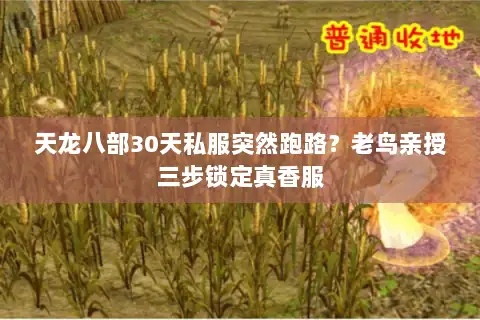 天龙八部30天私服突然跑路？老鸟亲授三步锁定真香服