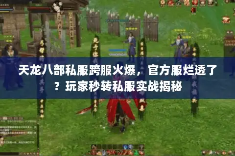 天龙八部私服跨服火爆，官方服烂透了？玩家秒转私服实战揭秘