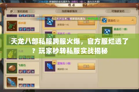 天龙八部私服跨服火爆，官方服烂透了？玩家秒转私服实战揭秘
