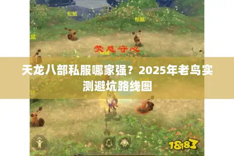 天龙八部私服哪家强?2025年老鸟实测避坑路线图 天龙八部私服哪家强?2025年老鸟实测避坑路线图