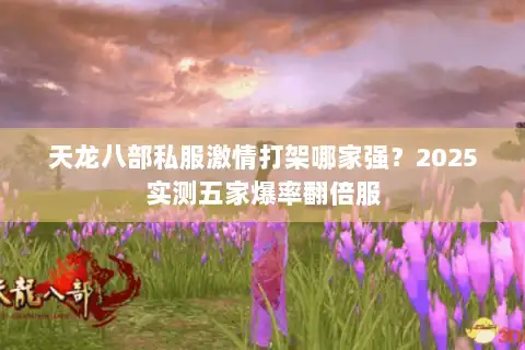 天龙八部私服激情打架哪家强?2025实测五家爆率翻倍服 天龙八部私服激情打架哪家强?2025实测五家爆率翻倍服