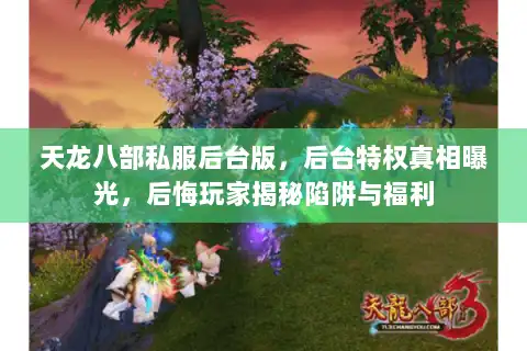 天龙八部私服后台版，后台特权真相曝光，后悔玩家揭秘陷阱与福利