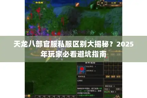 天龙八部官服私服区别大揭秘？2025年玩家必看避坑指南