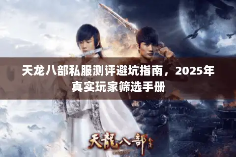 天龙八部私服测评避坑指南，2025年真实玩家筛选手册