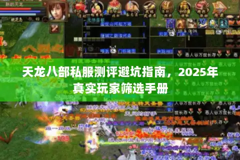 天龙八部私服测评避坑指南，2025年真实玩家筛选手册