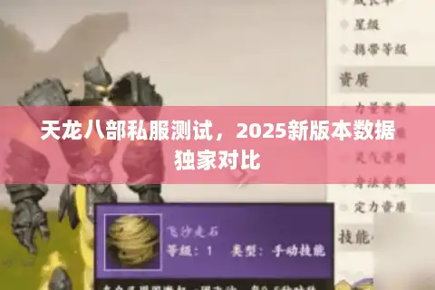 天龙八部私服测试,2025新版本数据独家对比 天龙八部私服测试,2025新版本数据独家对比