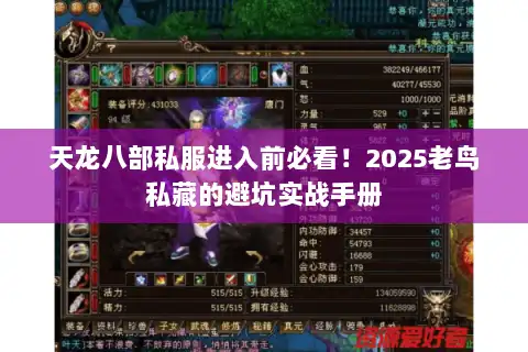 天龙八部私服进入前必看！2025老鸟私藏的避坑实战手册