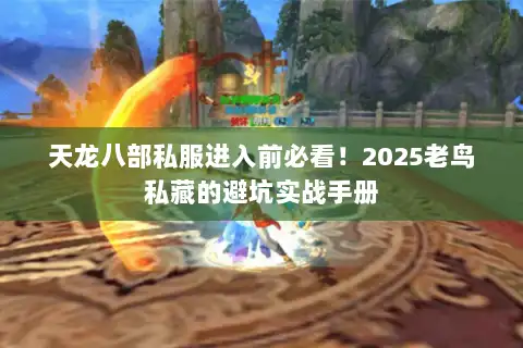 天龙八部私服进入前必看！2025老鸟私藏的避坑实战手册
