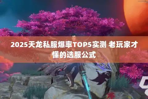 2025天龙私服爆率TOP5实测 老玩家才懂的选服公式