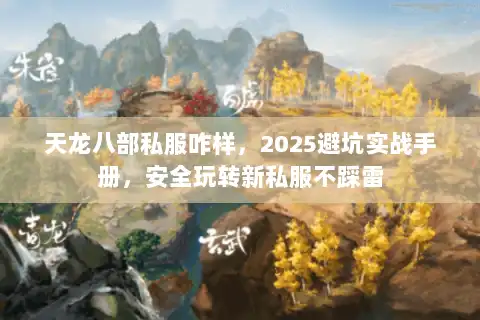 天龙八部私服咋样，2025避坑实战手册，安全玩转新私服不踩雷