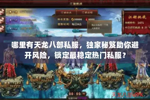哪里有天龙八部私服，独家秘笈助你避开风险，锁定最稳定热门私服？