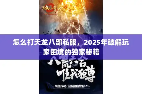 怎么打天龙八部私服，2025年破解玩家困境的独家秘籍