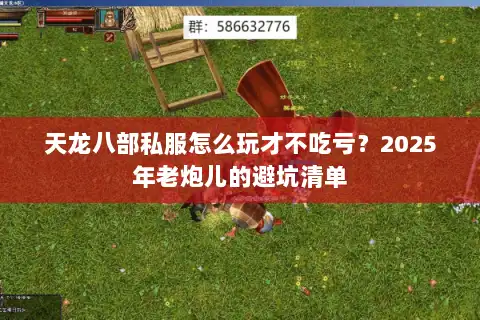 天龙八部私服怎么玩才不吃亏？2025年老炮儿的避坑清单