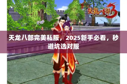 天龙八部完美私服,2025新手必看,秒避坑选对服 天龙八部完美私服,2025新手必看,秒避坑选对服