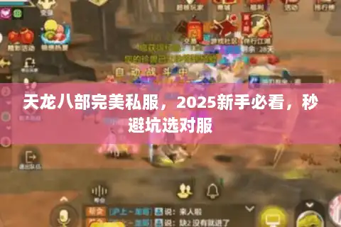 天龙八部完美私服,2025新手必看,秒避坑选对服 天龙八部完美私服,2025新手必看,秒避坑选对服