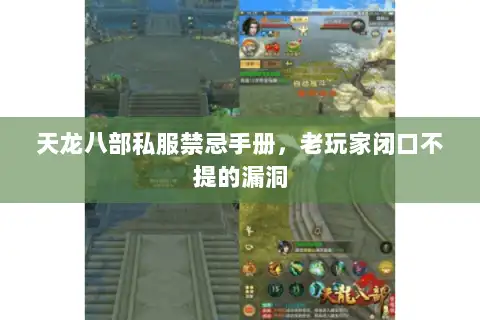 天龙八部私服禁忌手册,老玩家闭口不提的漏洞 天龙八部私服禁忌手册,老玩家闭口不提的漏洞