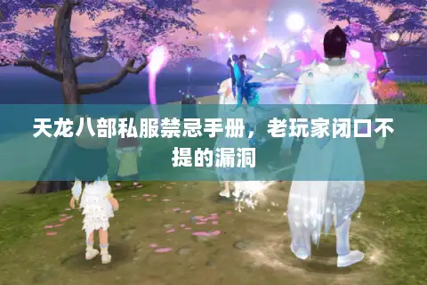 天龙八部私服禁忌手册,老玩家闭口不提的漏洞 天龙八部私服禁忌手册,老玩家闭口不提的漏洞