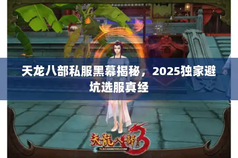 天龙八部私服黑幕揭秘，2025独家避坑选服真经