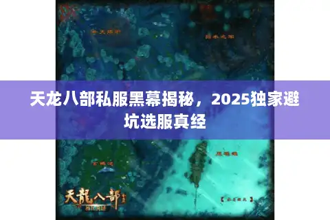 天龙八部私服黑幕揭秘，2025独家避坑选服真经