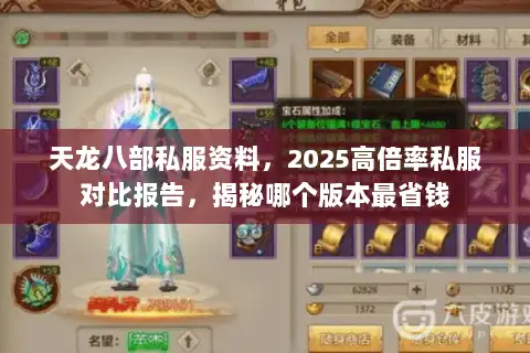 天龙八部私服资料，2025高倍率私服对比报告，揭秘哪个版本最省钱