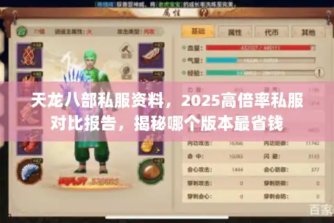 天龙八部私服资料，2025高倍率私服对比报告，揭秘哪个版本最省钱