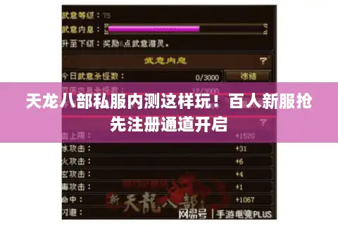 天龙八部私服内测这样玩！百人新服抢先注册通道开启