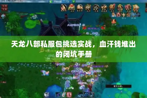 天龙八部私服包挑选实战，血汗钱堆出的闭坑手册