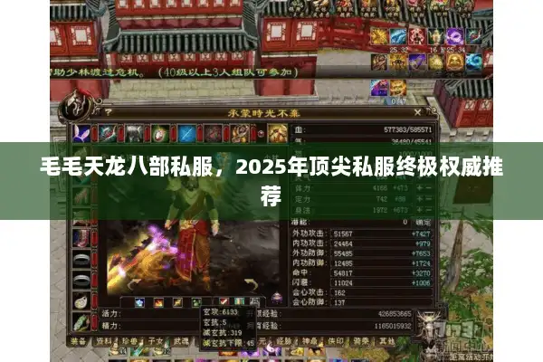 毛毛天龙八部私服，2025年顶尖私服终极权威推荐