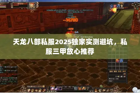 天龙八部私服2025独家实测避坑，私服三甲放心推荐