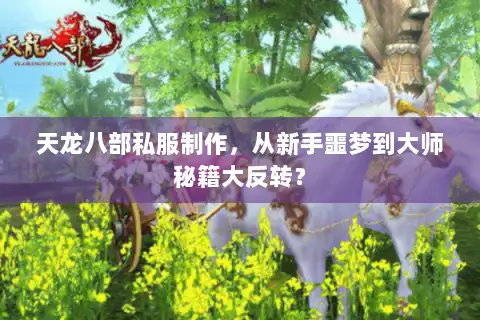 天龙八部私服制作，从新手噩梦到大师秘籍大反转？