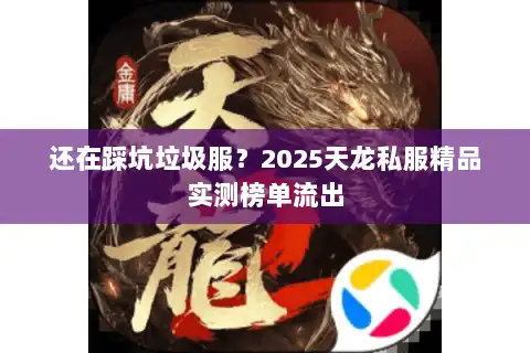 还在踩坑垃圾服？2025天龙私服精品实测榜单流出