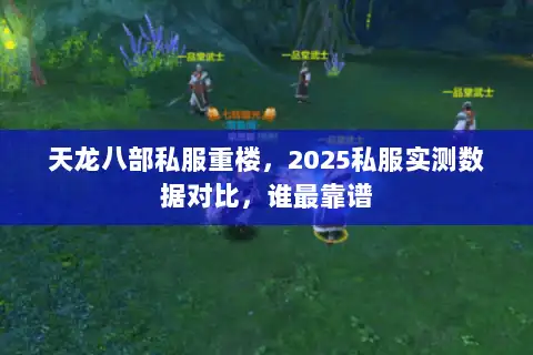 天龙八部私服重楼，2025私服实测数据对比，谁最靠谱