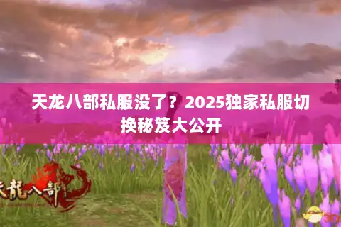 天龙八部私服没了?2025独家私服切换秘笈大公开 天龙八部私服没了?2025独家私服切换秘笈大公开